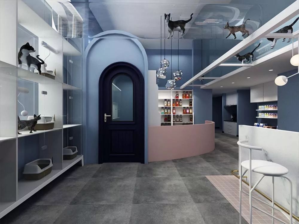 1677033687788896.jpg 宠物店2.jpg