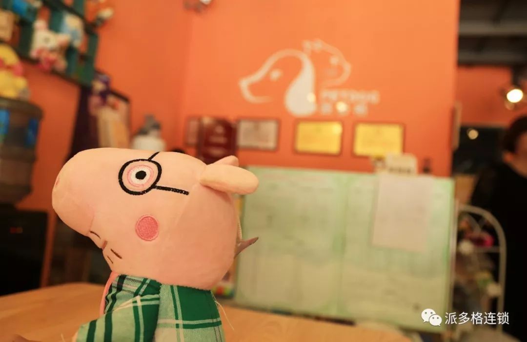 杭州开宠物店需要准备什么呢?(开宠物店如何用2万元装出5万元的效果) 杭州开宠物店需要准备什么呢?(开宠物店如何用2万元装出5万元的效果)